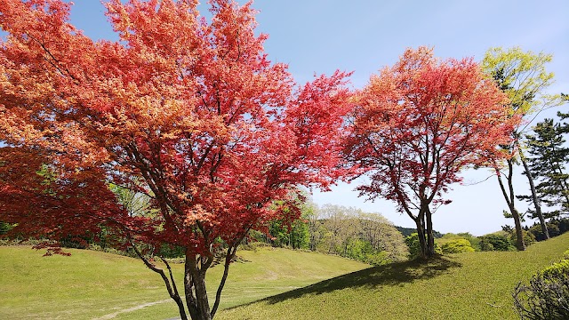 Menard Country Club Aoyama Course - Photo 8