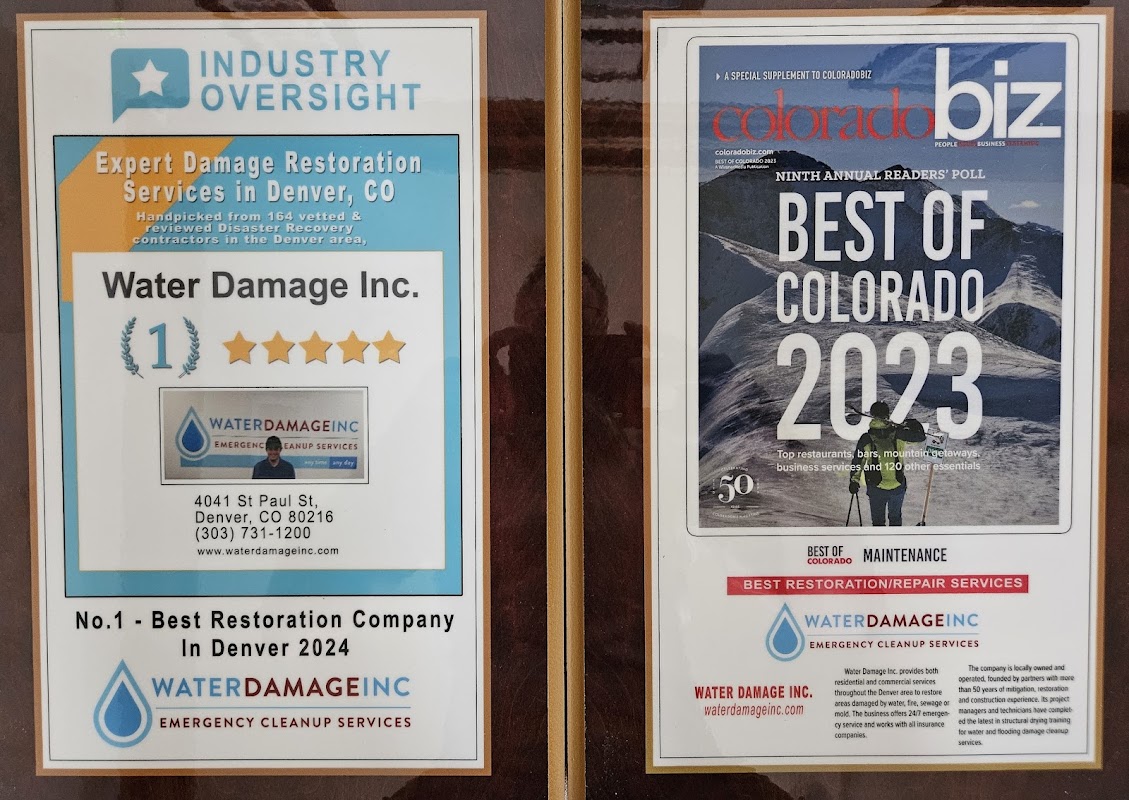 Water Damage, Inc. — photo