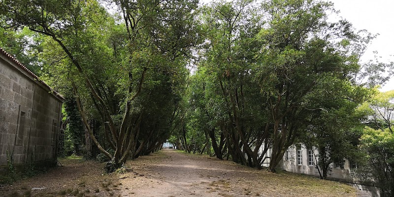 San Simón Fiddle Camp photo 4