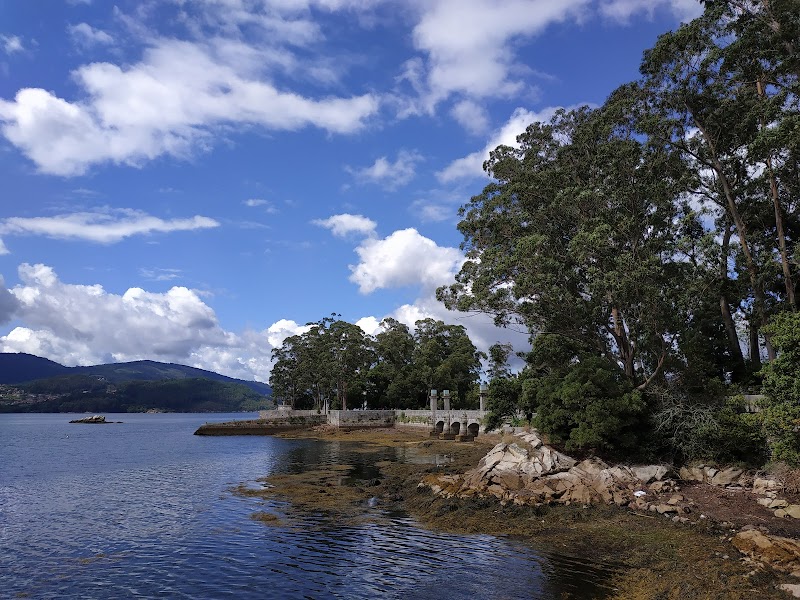 San Simón Fiddle Camp photo 2