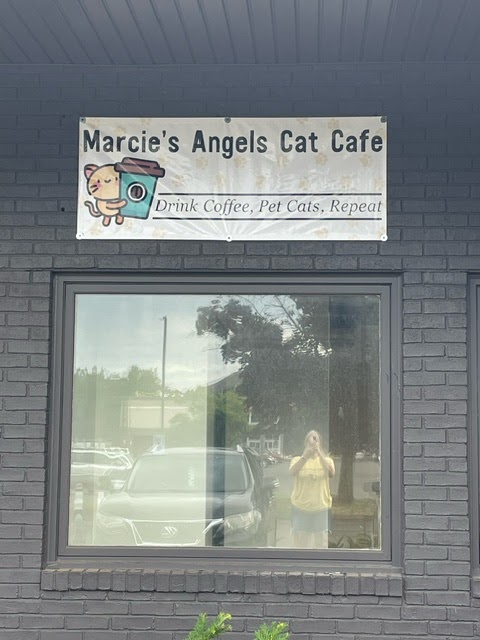 Marcie's Angels Cat Cafe
