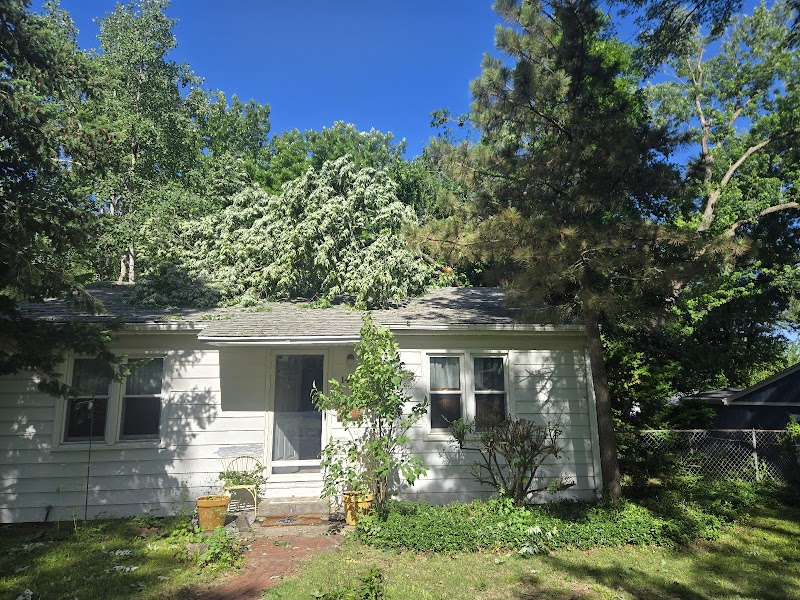 Schonberg Tree Service LLC