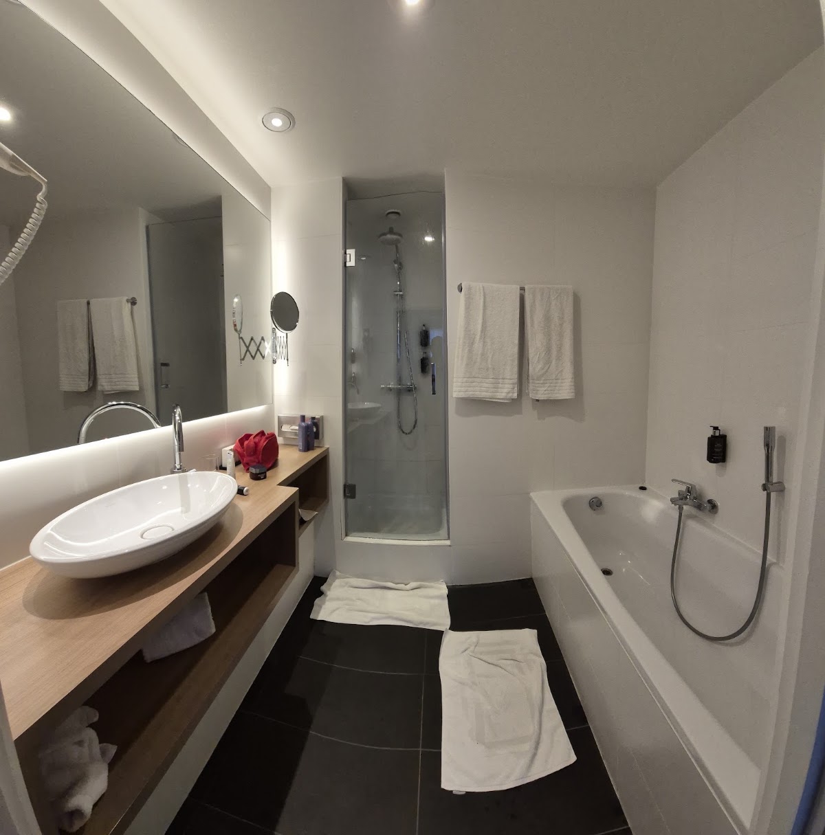 Theater Hotel Antwerp, dog-friendly hotel, photo 2