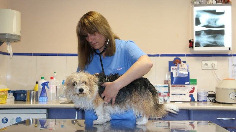 CLÍNICA VETERINARIA PALOMERA