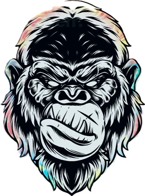 APE Recovery photo 5