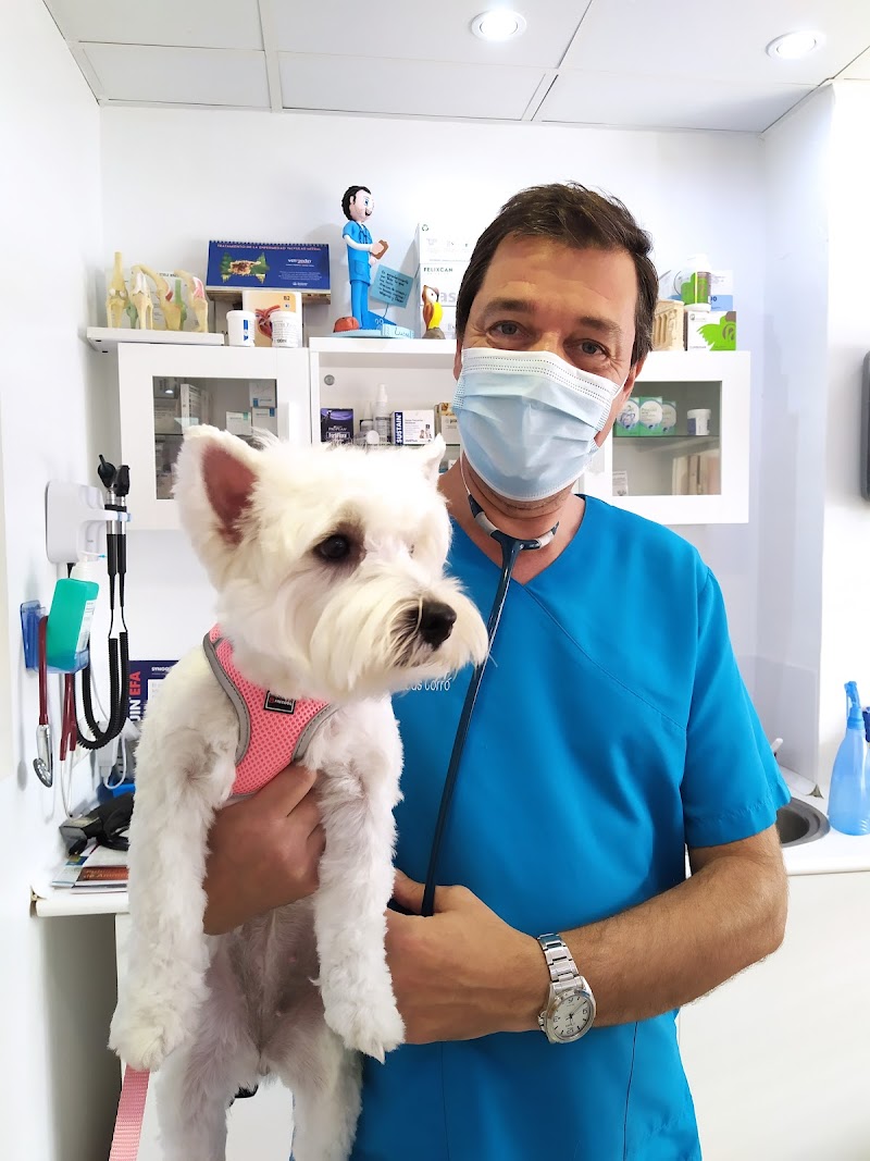Clinica Veterinaria Mascotas