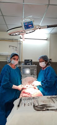 Dr. Priyanka Kumari | Gynaecologist & Obstetrician | Best Lady Doctor in Bodhgaya - Image 3