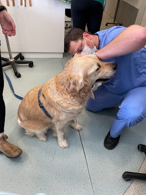 מוריה מרכז רפואי וטרינרי