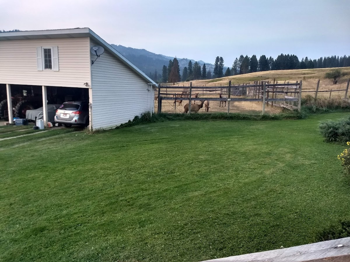 Elk Springs Ranch
