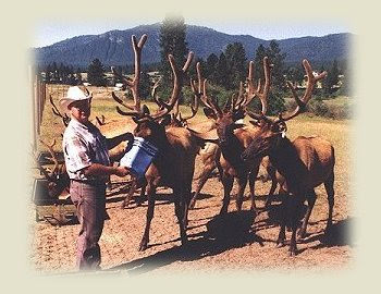 Elk Springs Ranch - Photo 1