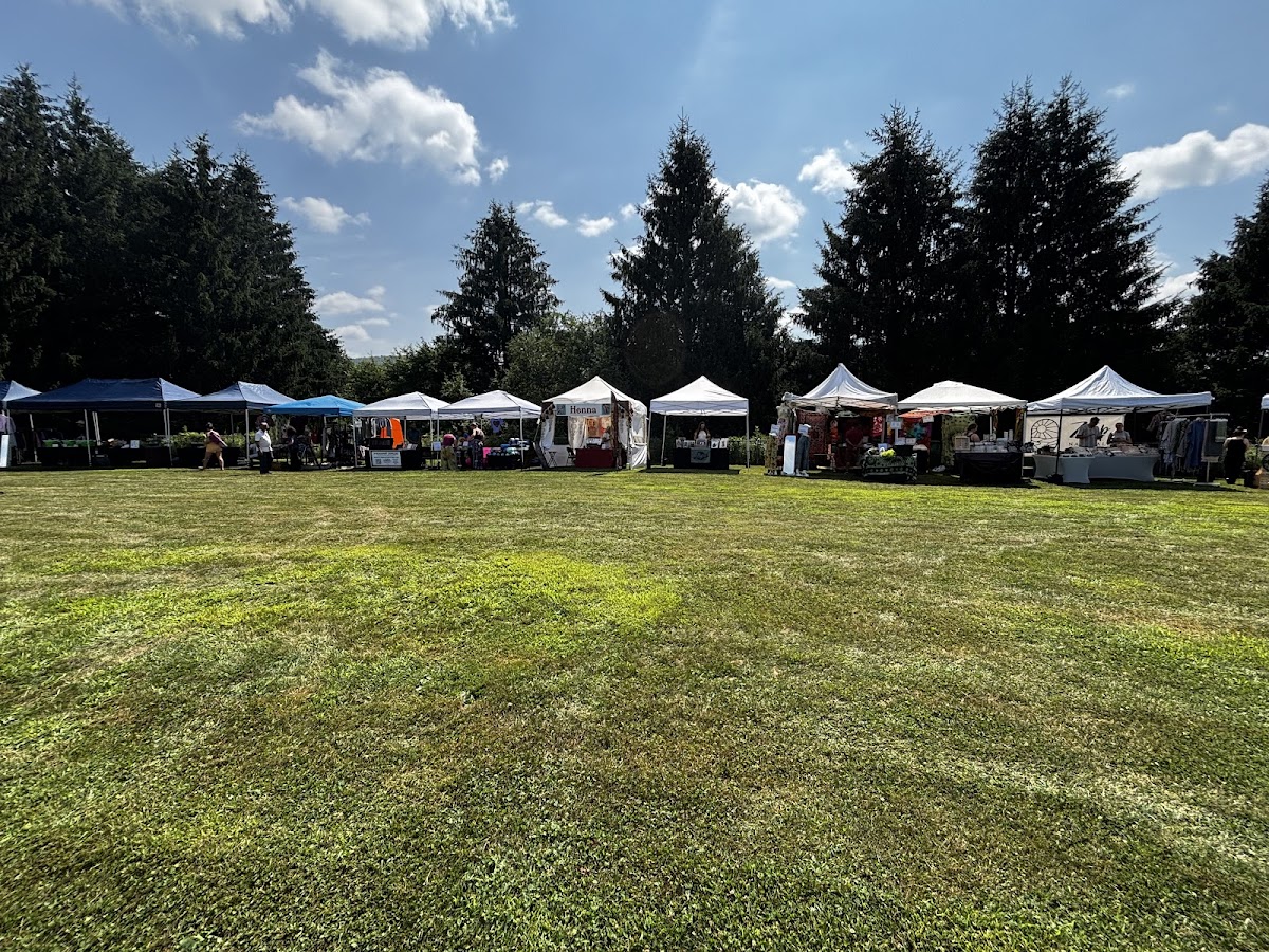 Catskill Mountain Yoga Festival — 4