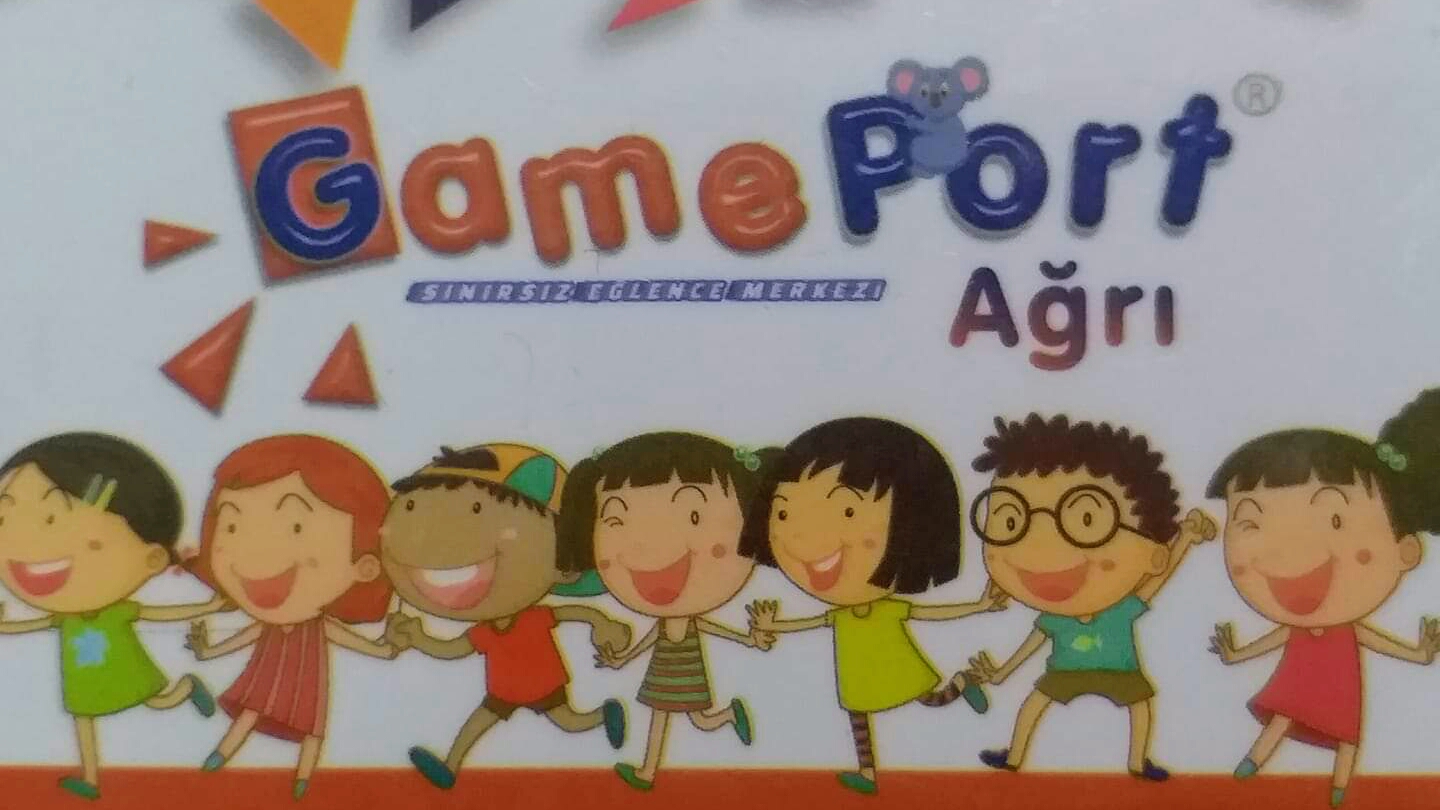 Game port ağrı mekanı