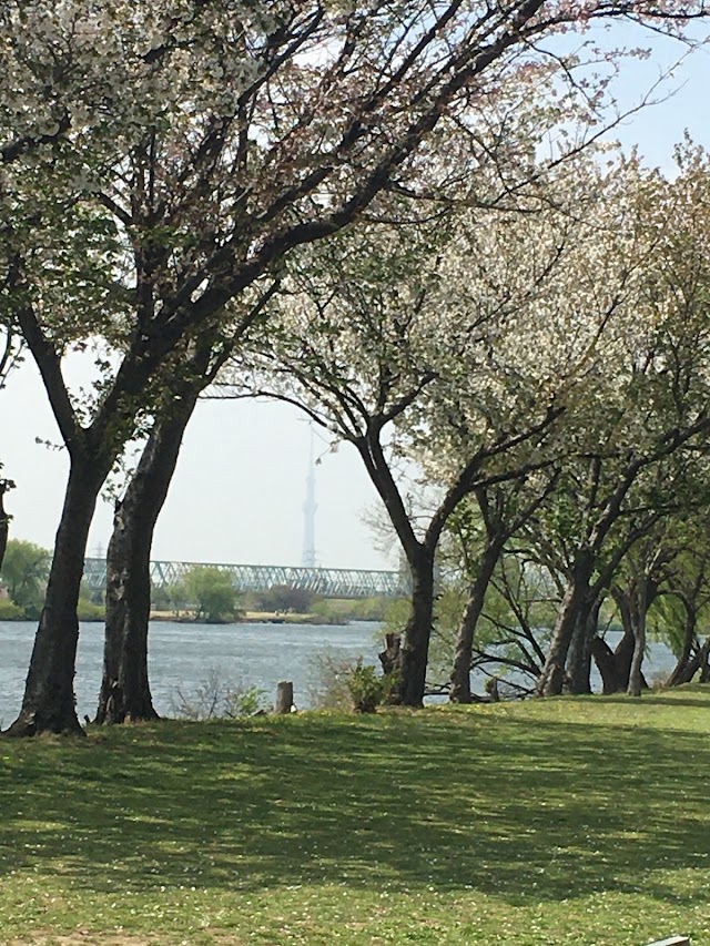 Edogawa Line Golf Course - Photo 7
