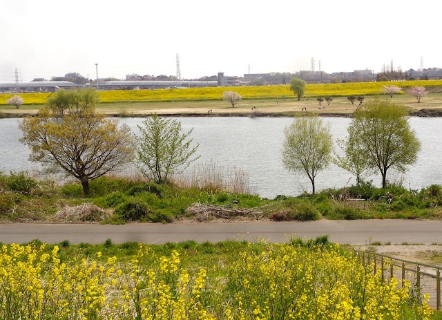 Edogawa Line Golf Course - Photo 5