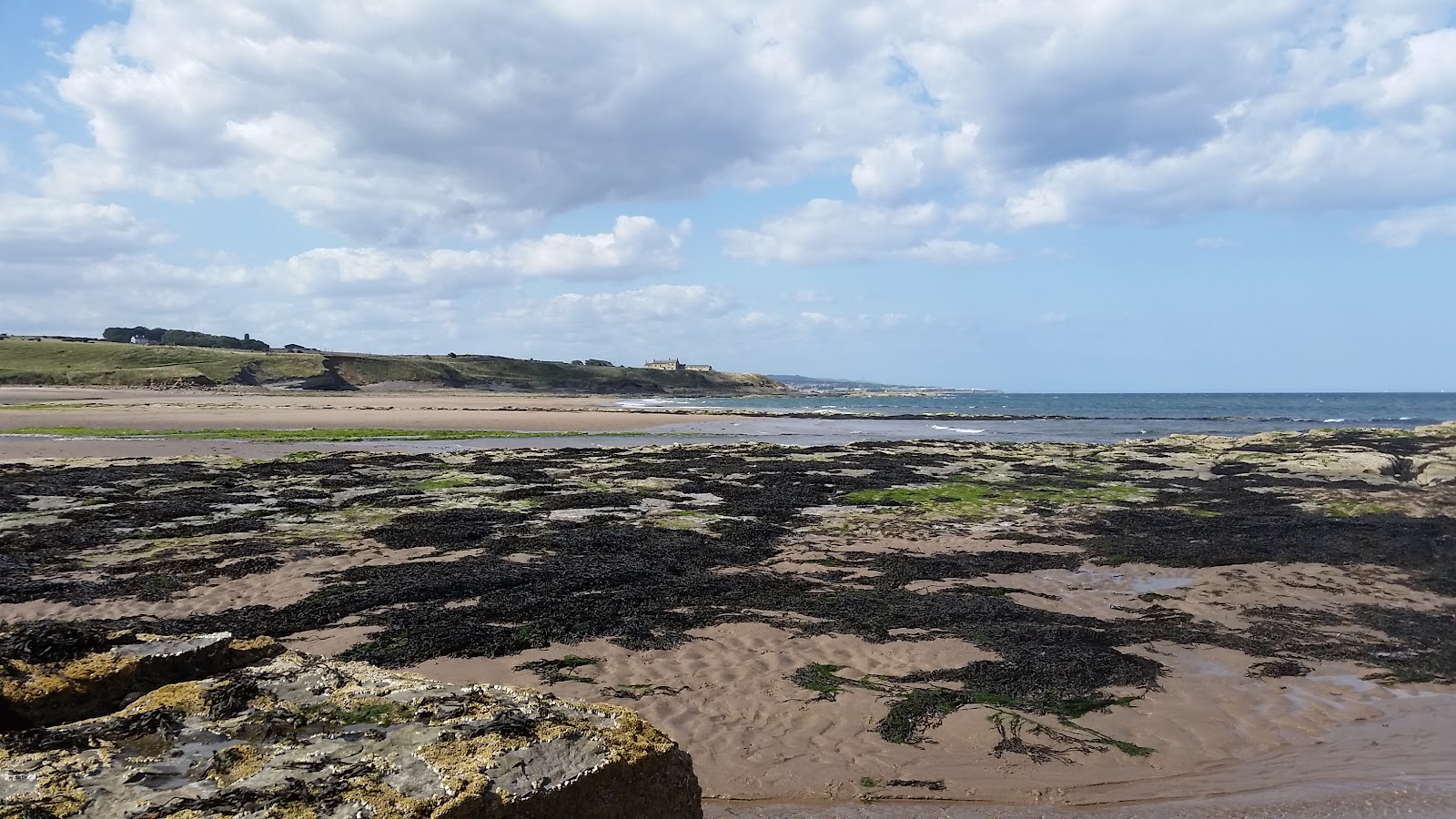 The Best Hidden Beaches in Northumberland: 6 Quiet Stretches of Sand You Need to Find