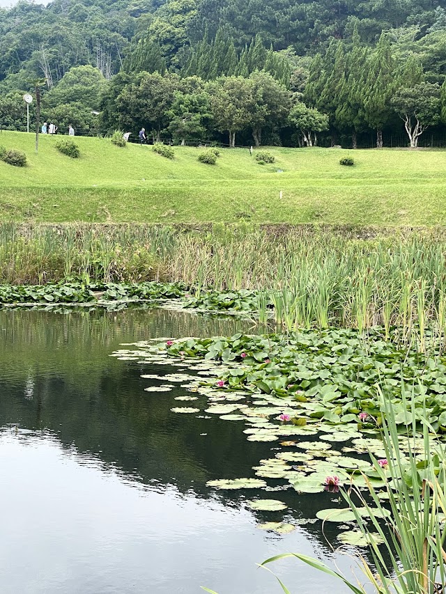 Horyuji Country Club - Photo 10