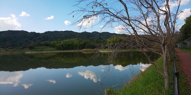 Horyuji Country Club - Photo 8