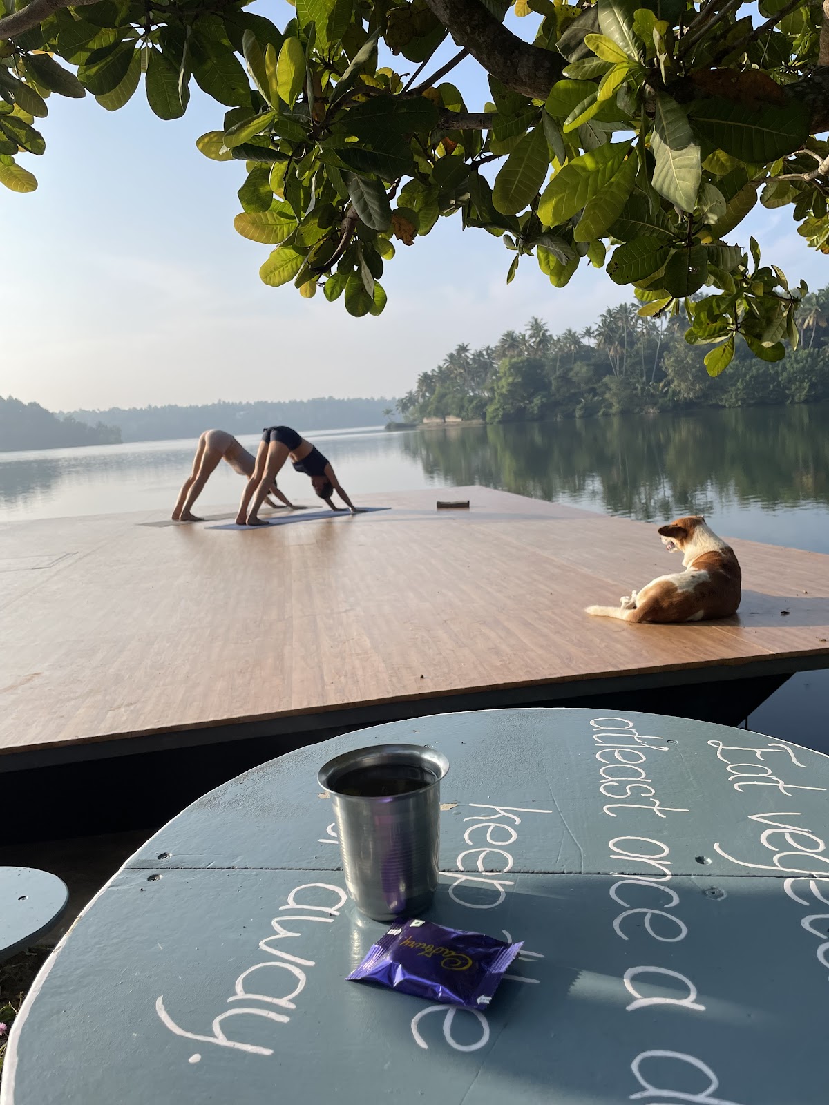The Kerala Retreat — 3