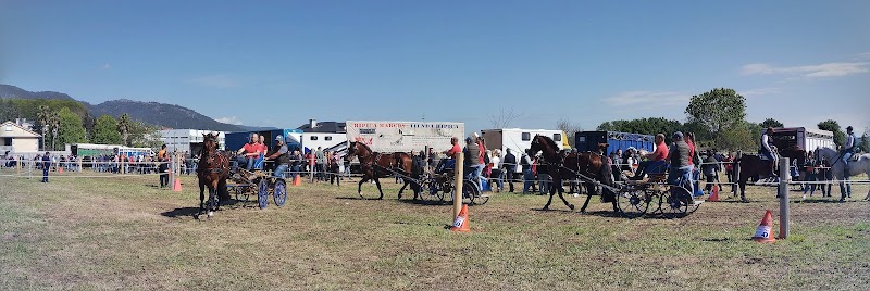 RECAMBIOS LODAUTO photo 2