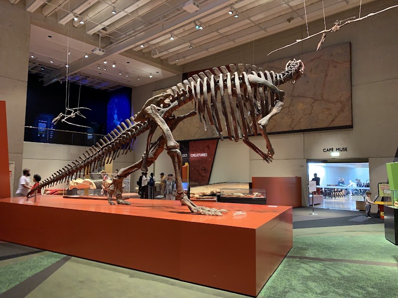 퀸즐랜드 박물관