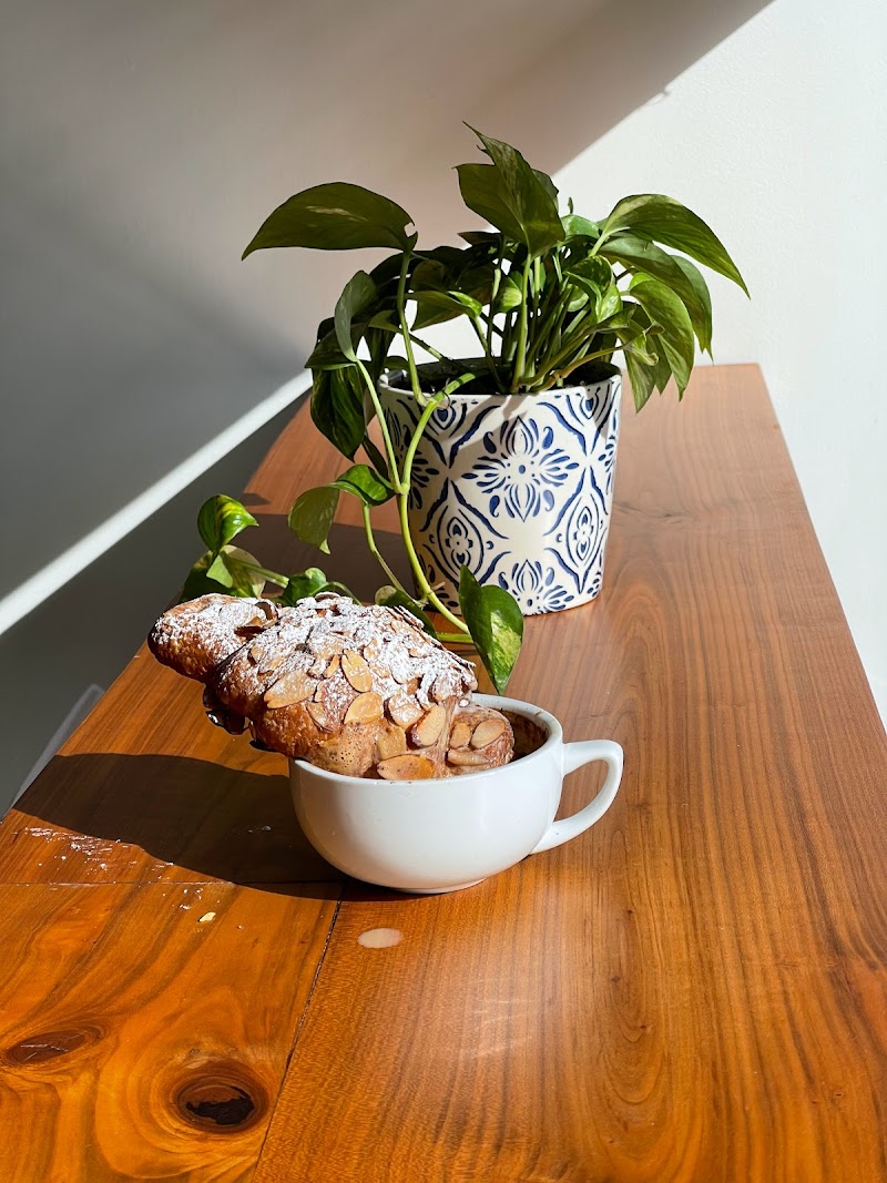 Culture Coffee photo 2