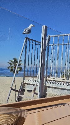 Venice Breeze Suites