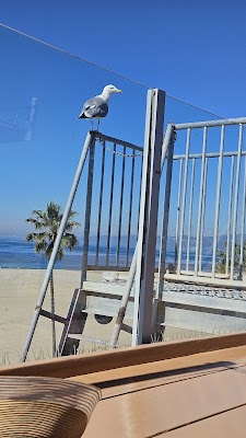 Venice Breeze Suites