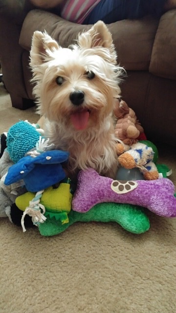 Photo by Gayle Dedrick