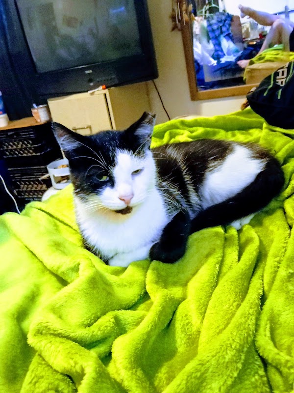 Photo by Kristen noyes