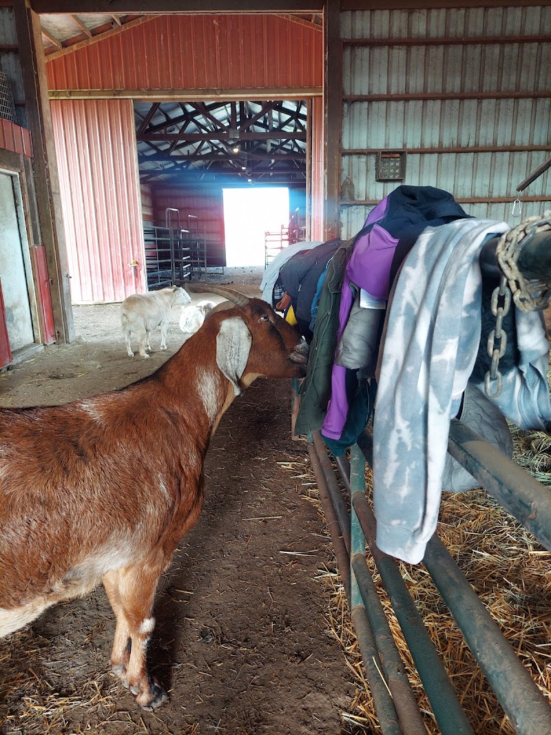 Lighthouse Farm Sanctuary - Photo 3