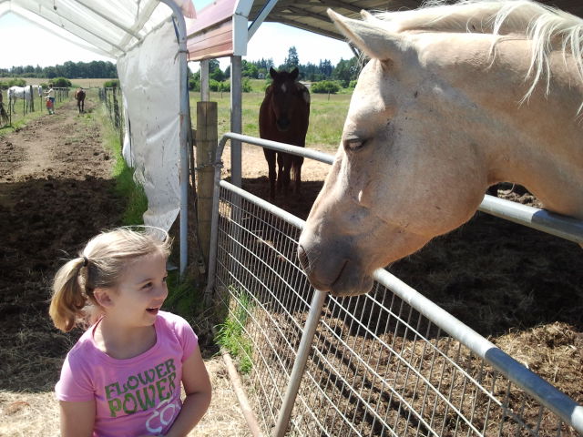Lighthouse Farm Sanctuary - Photo 4