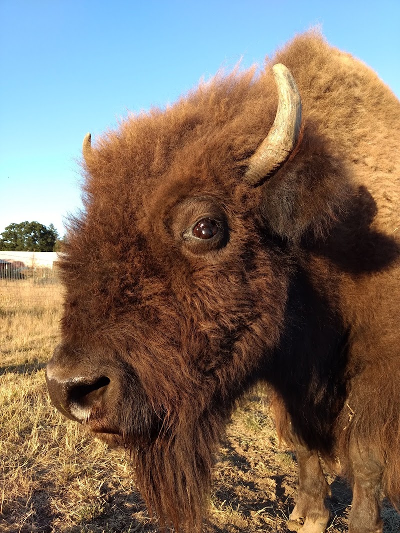 Lighthouse Farm Sanctuary - Photo 1