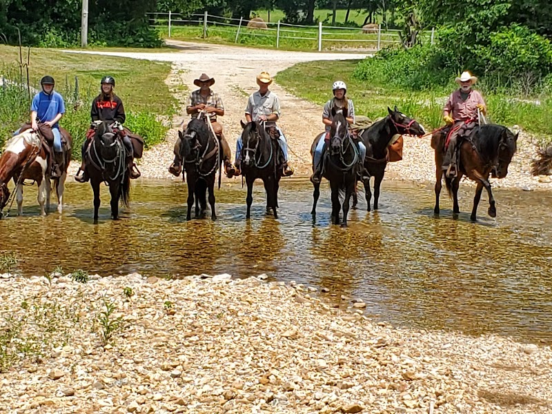 Brushy Creek Lodge & Resort - Photo 4
