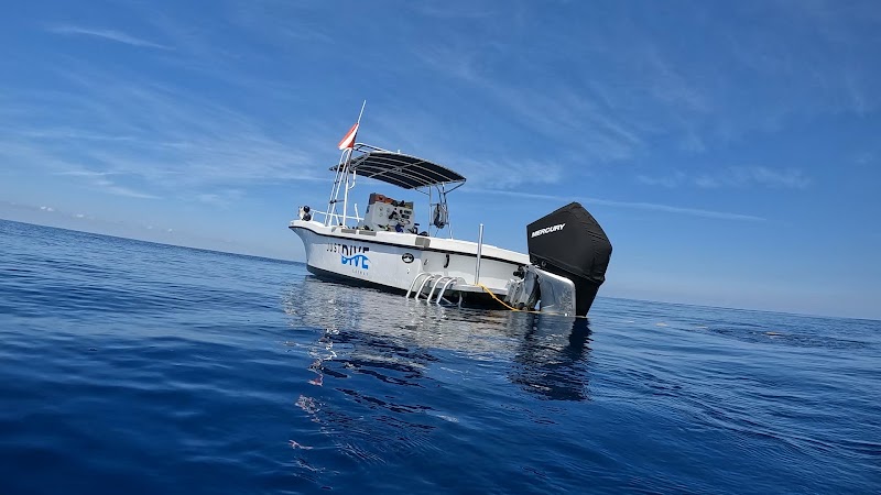 Just Dive Cayman photo 2
