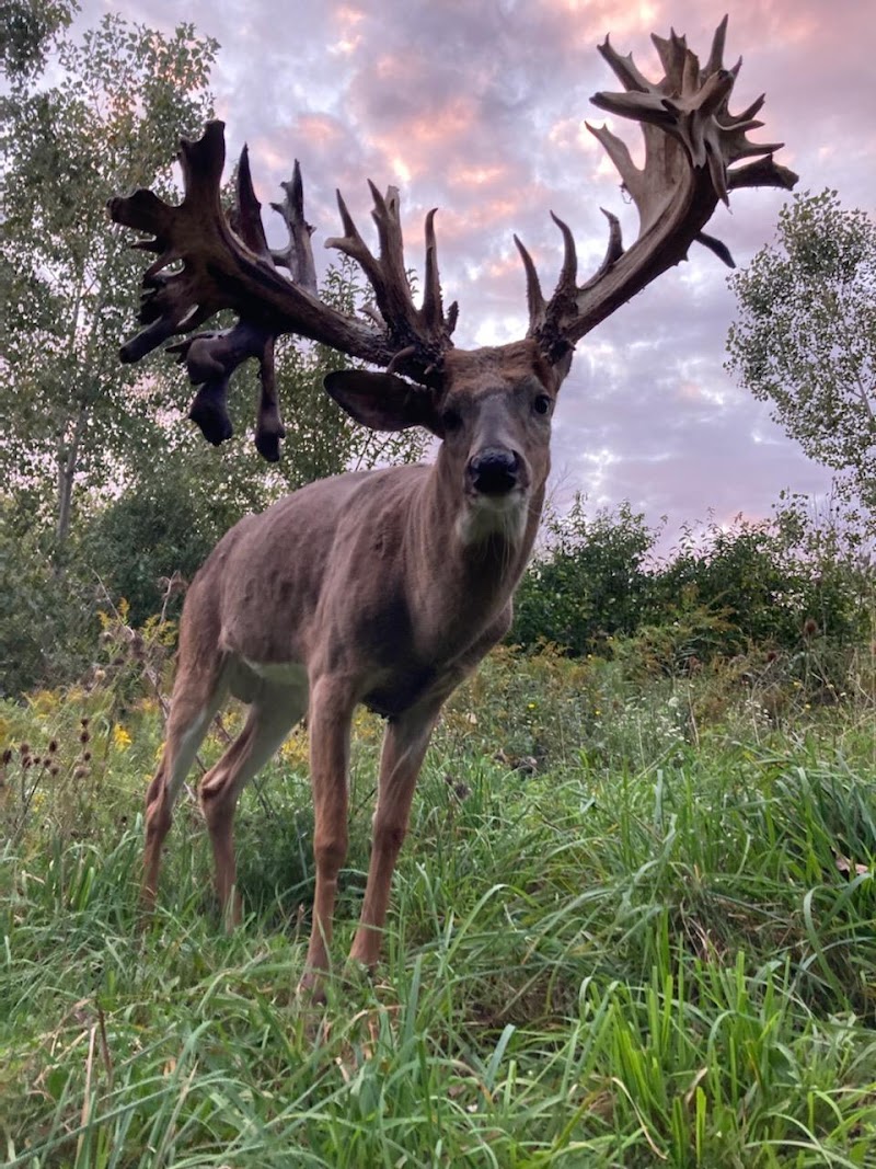 Redwood Whitetail Preserve - Photo 3