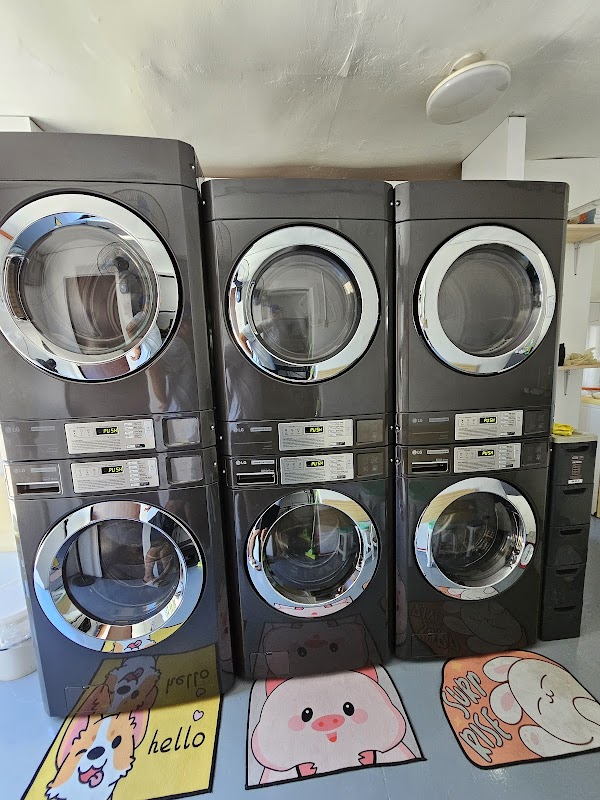 RG Laundry Tipas