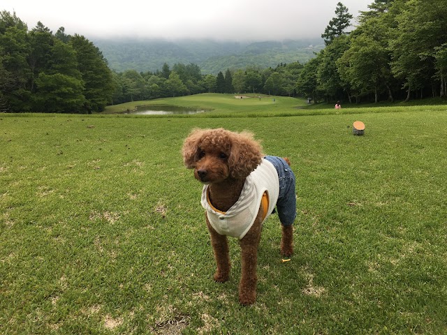 Kinugawa Kogen Country Club - Photo 5