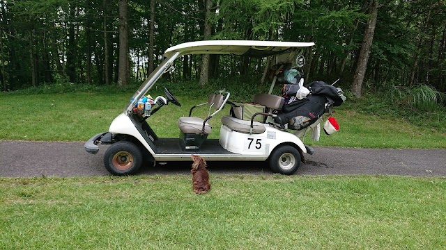 Kinugawa Kogen Country Club - Photo 6