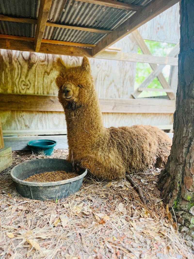 The Ranch - Photo 5