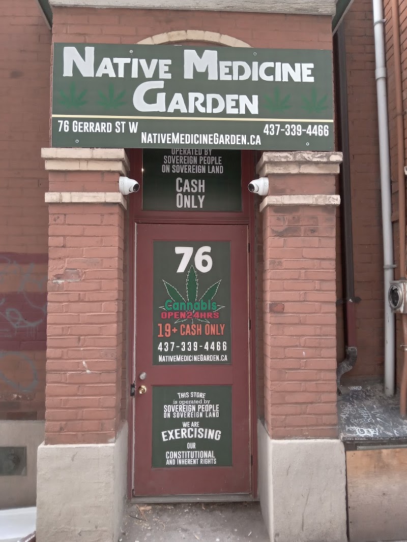 Native Medicine Garden