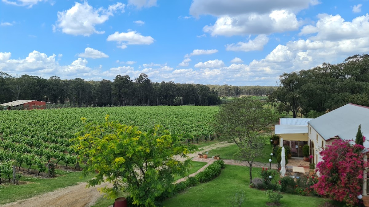 Tintilla Estate Wines