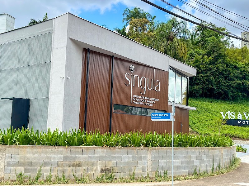 SINGULA Centro de Estudos e Pesquisas em Psicologia Analítica, Psiquiatria e Filosofia | Psicólogas | Psiquiatra