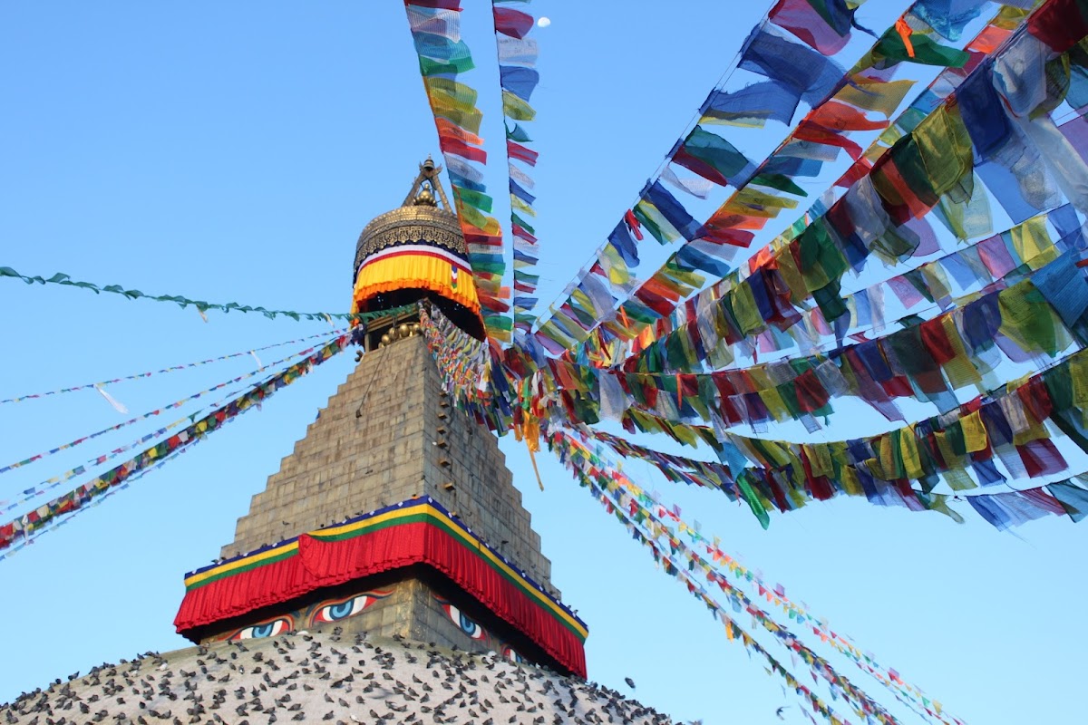 Sadhana Bhumi Himalaya For Life Research | Yoga Retreat Center in Nepal — 4