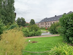 The Botanical Garden