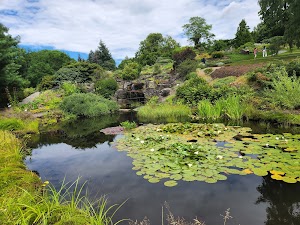 The Botanical Garden