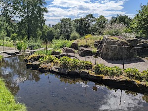 The Botanical Garden