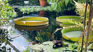 The Botanical Garden