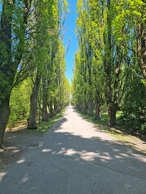 The Botanical Garden