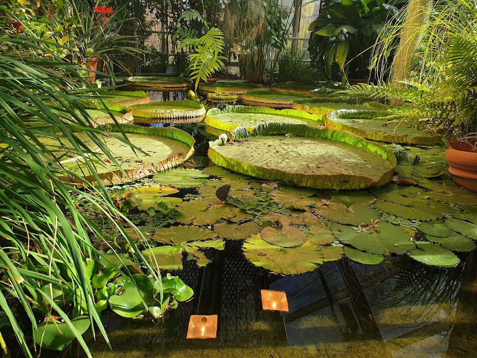 Botanical Garden fotoğraf 1