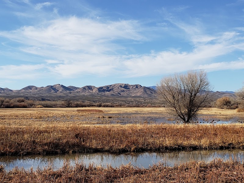 Bosque del Apache National Wildlife Refuge Visitor Center - Photo 5